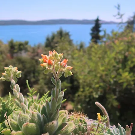 Cvita Apartament Trogir