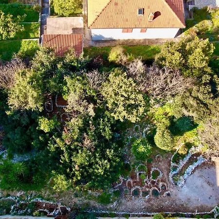 Apartament Cvita Trogir