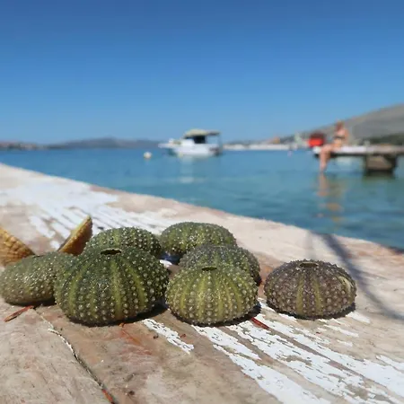 Διαμέρισμα Cvita Τρογκίρ