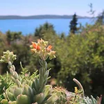 Cvita Lägenhet Trogir